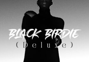 Black Birdie Black Birdie (Deluxe) Zip Download
